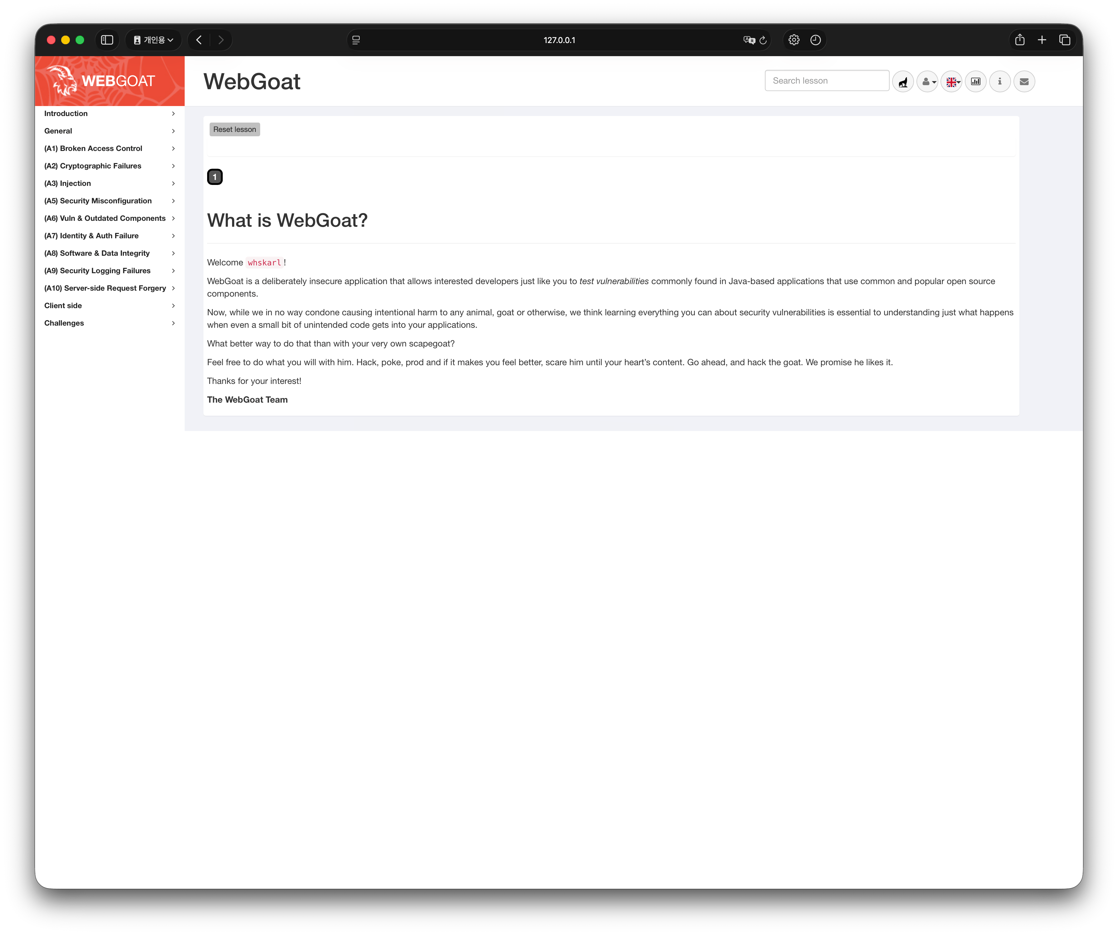 WebGoat 메인 화면