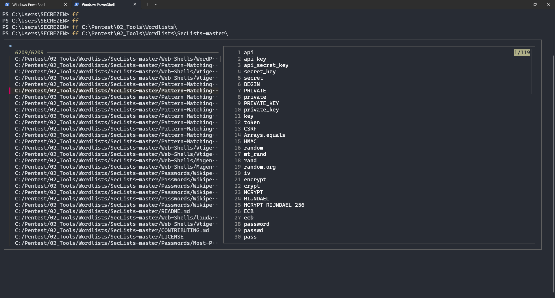 Windows SecLists의 Pattern-Matching 파일과 검색 패턴 문자열 미리보기